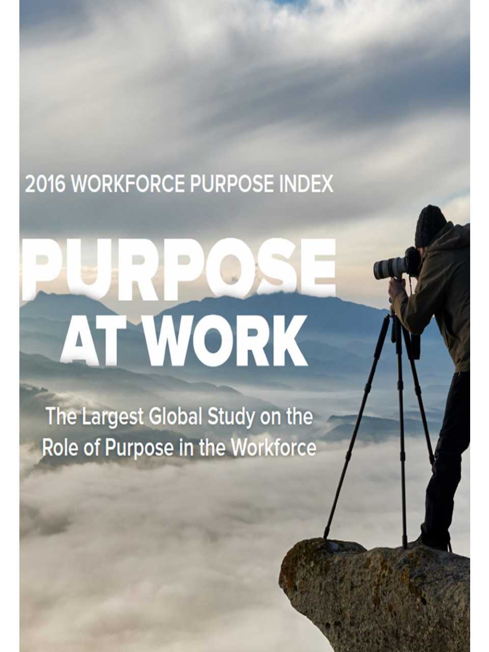 Purpose at Work