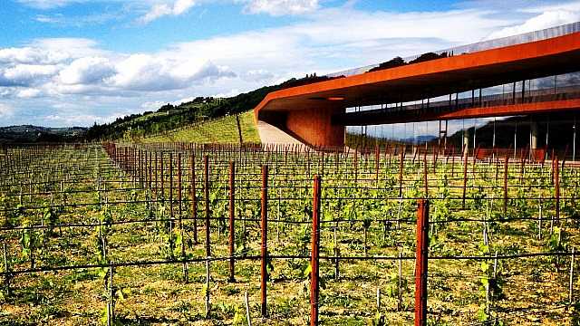 Innovare e migliorarsi rispettando la tradizione: incontro con Albiera Antinori