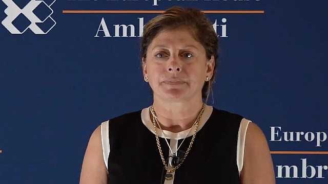 Experiences and considerations on the future of information