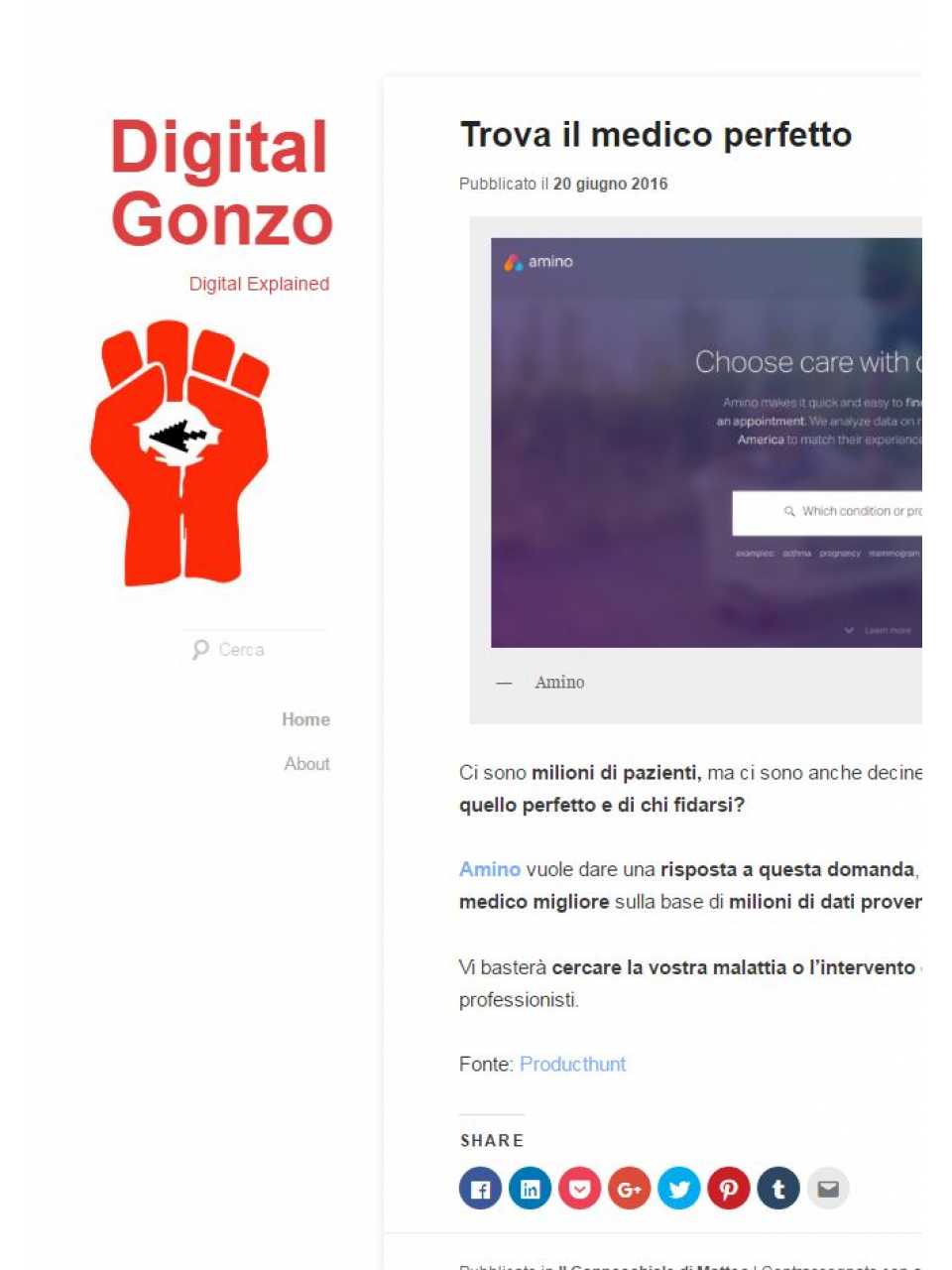 Digital Gonzo - digital explained