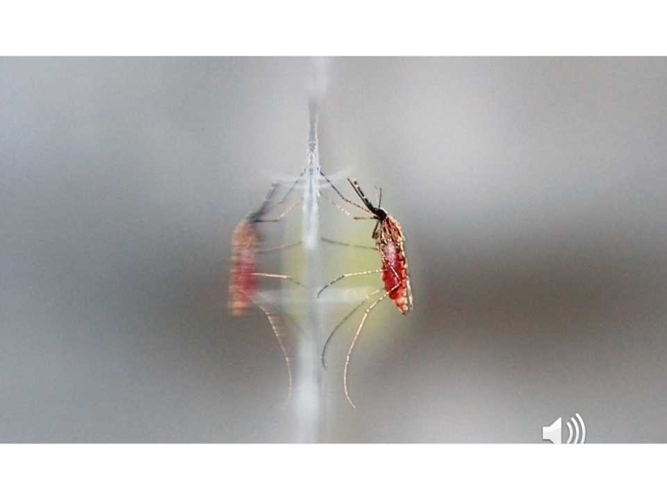 Intellectual Ventures Laboratory