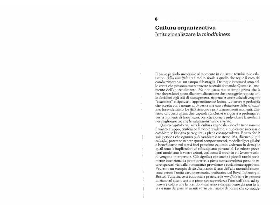 Cultura organizzativa. Istituzionalizzare la mindfulness