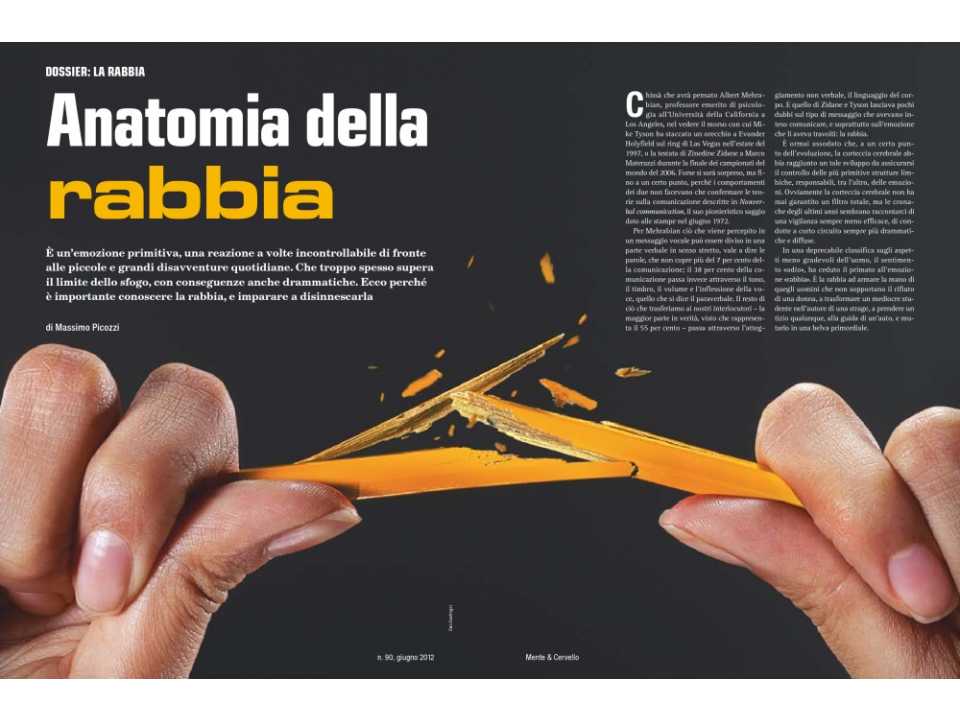 Anatomia della rabbia