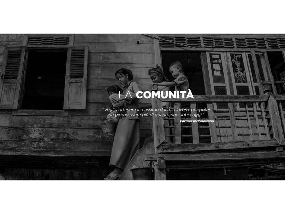 Da dove viene la gomma naturale dei nostri pneumatici?